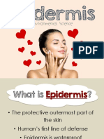 Epidermis