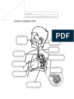 Partes de la PC