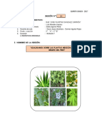 SESIÓN 29 PS Dialogamos Sobre Las Plantas Medicinales de Cada Región Del Perú.