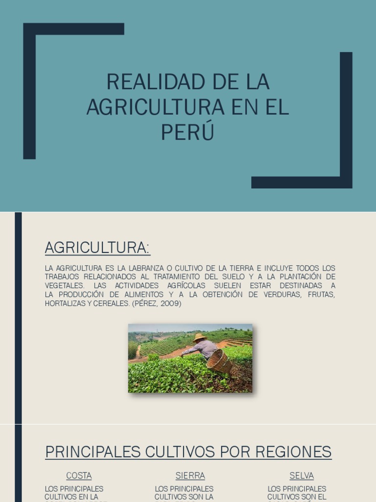 Realidad De La Agricultura En El Perú Pdf Agricultura Perú