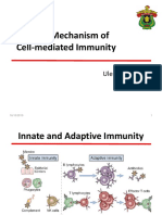 Effector Mechanism of Cell-Mediated Immunity: Uleng Bahrun