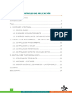 Controles de Aplicación.pdf