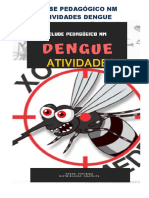 Atividades Dengue - NM