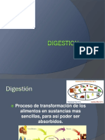 Digestion