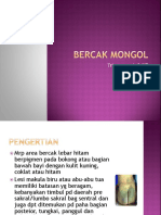 Bercak Mongol & Miliriaris