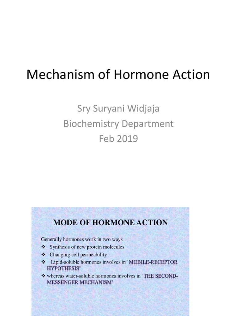 Mechanism of Hormone Action | PDF | Steroid Hormone | Endocrinology