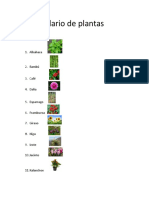 Abecedario de Plantas