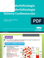 Morfofisiologia Sistema Cardiovascular 1