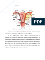 Ii. Anatomy and Physiology