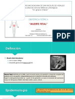 Muerte Fetal