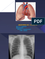 Anatomia Del Corazon