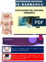 Patologias del aparato renal y urinario.pptx