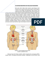 Anatomi Fisiologi Sistem Endokrin Dan Kelenjar Endokrin