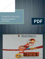 Diabetes Melitus