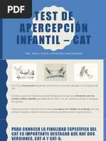 Pruebas TAT y CAT: Evaluación Psicológica | PDF | Adultos | Teoría