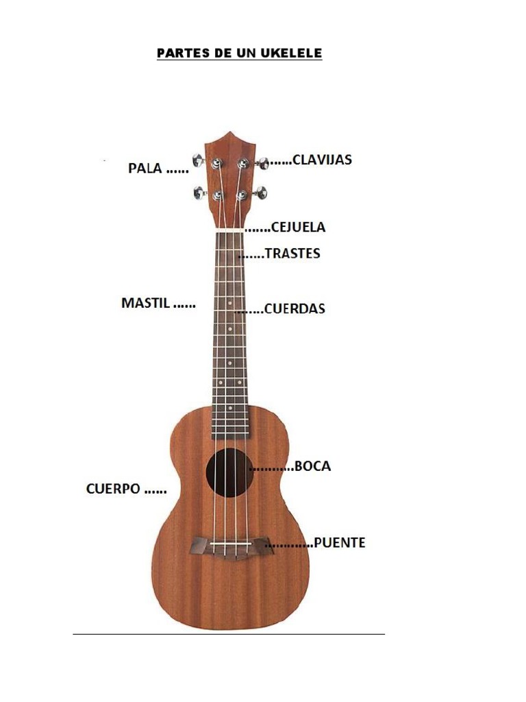 Como Hacer El Acorde Bm En Ukelele Ukelele para Principiantes | PDF | Guitarras | Acorde (Música)