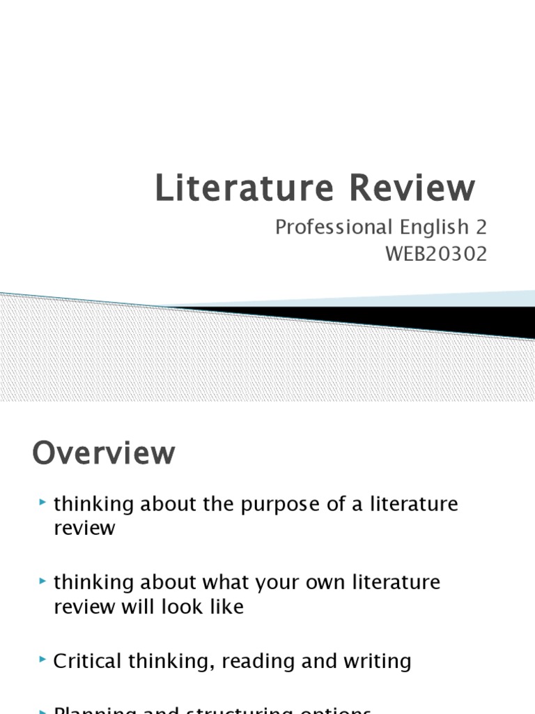Literature Review Dsa | PDF | Thesis | Literature Review