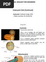 Bm101: Biology For Engineers: Instructor: Yashveer Singh, PHD