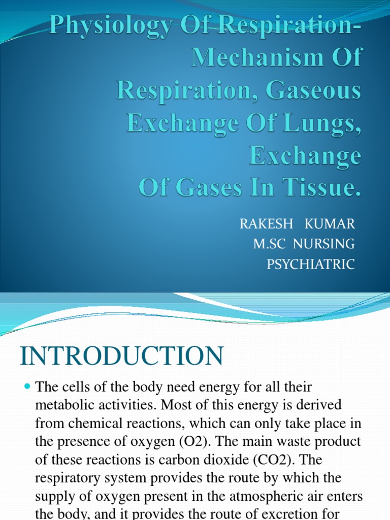 Physiology and Mechanisms of Respiration | PDF | Lung | Respiratory System
