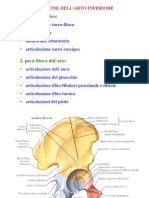 12. Articolazione Coxo-femorale