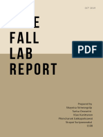 Free Fall Lab Report