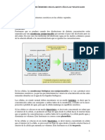 5. Fenómenos osmóticos en células de tulipán..pdf