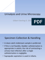 Urine Sediment Examination PDF