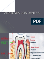 Anatomia Dos Dentes