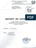 Raport de expertiza  DS 353-217-2017 - Darabani  T 17.09.2019.pdf