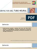 Defectos Del Tubo Neural Pedia (2)