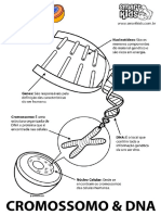 cromossomo-dna.pdf