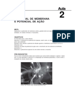 Aula 4 Potencial de Membrana.pdf