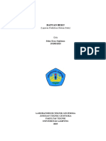 Laporan Batuan Beku (Revisi) PDF