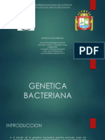 Genetica Bacteriana