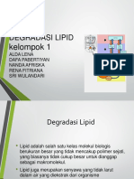 Degradasi Lipid