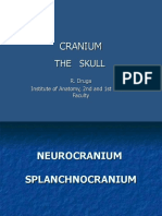 cranium bbb.pdf