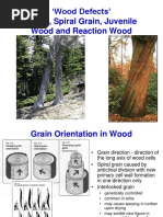 Wood Defects' Knots, Spiral Grain, Juvenile Wood and Reaction Wood