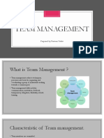 Team Management (Autosaved)