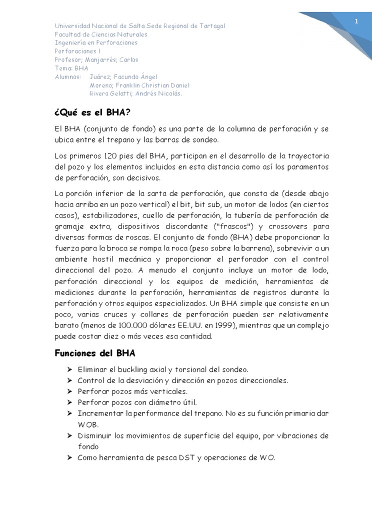 Qué Es El BHA | PDF | Naturaleza