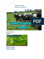 Sistemas de pastoreo utilizados en la Ganadería.docx