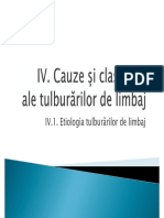 IV.Cauze-si-clasificari-ale-tulburarilor-de-limbaj.pdf