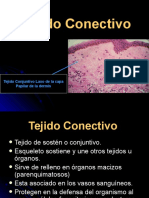 3. Tejido Conjuntivo 2010.ppt