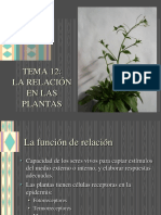 12_relacion_plantas.ppt