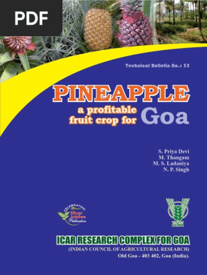 pineapple
