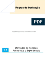 3.1 Derivadas de Funções Polinomiais e Exponenciais PDF