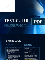 curs testicul 1.pptx