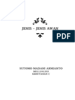 Jenis - Jenis Awan Dan Gambarnya