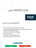 Cibil Report (Cir)