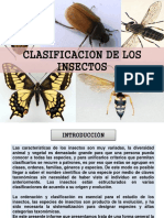 Clasificación e Los Insectos