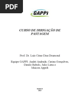 Cursos-de-Irrigacao-de-Pastagem-Gappi.pdf